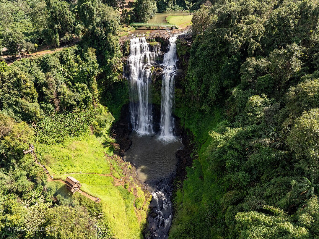 Bolaven Plateau Waterfalls-Tad Lo必去景点