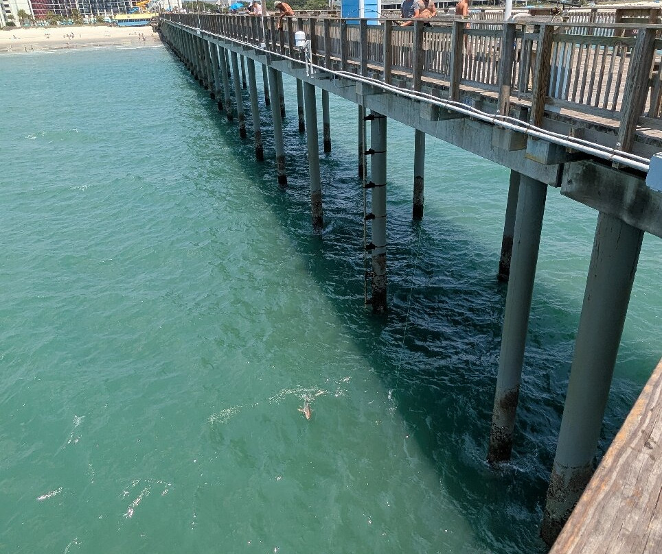 Springmaid Pier-美特尔海滩必去景点