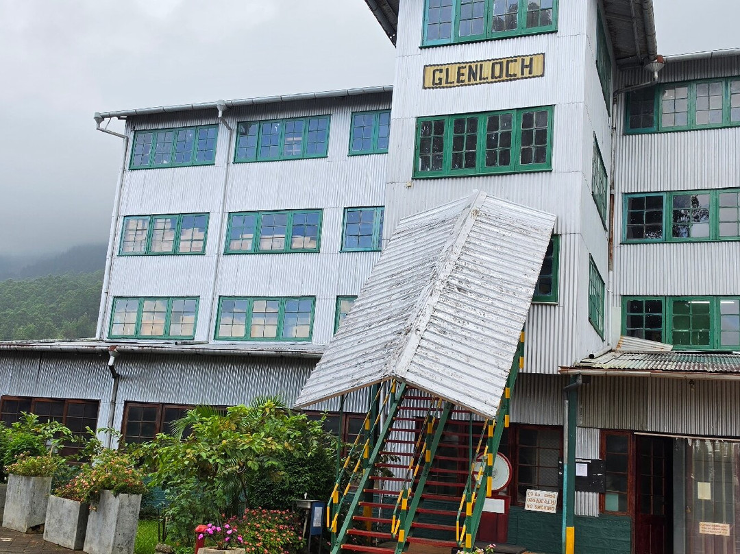 Glenloch Tea Factory-Katukitula必去景点