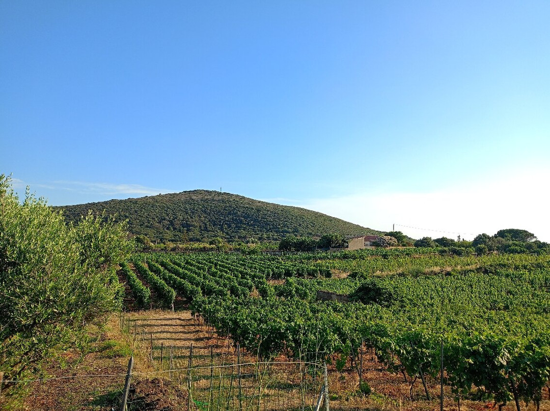 Emidio Oggianu Malvasia di Bosa-博萨必去景点