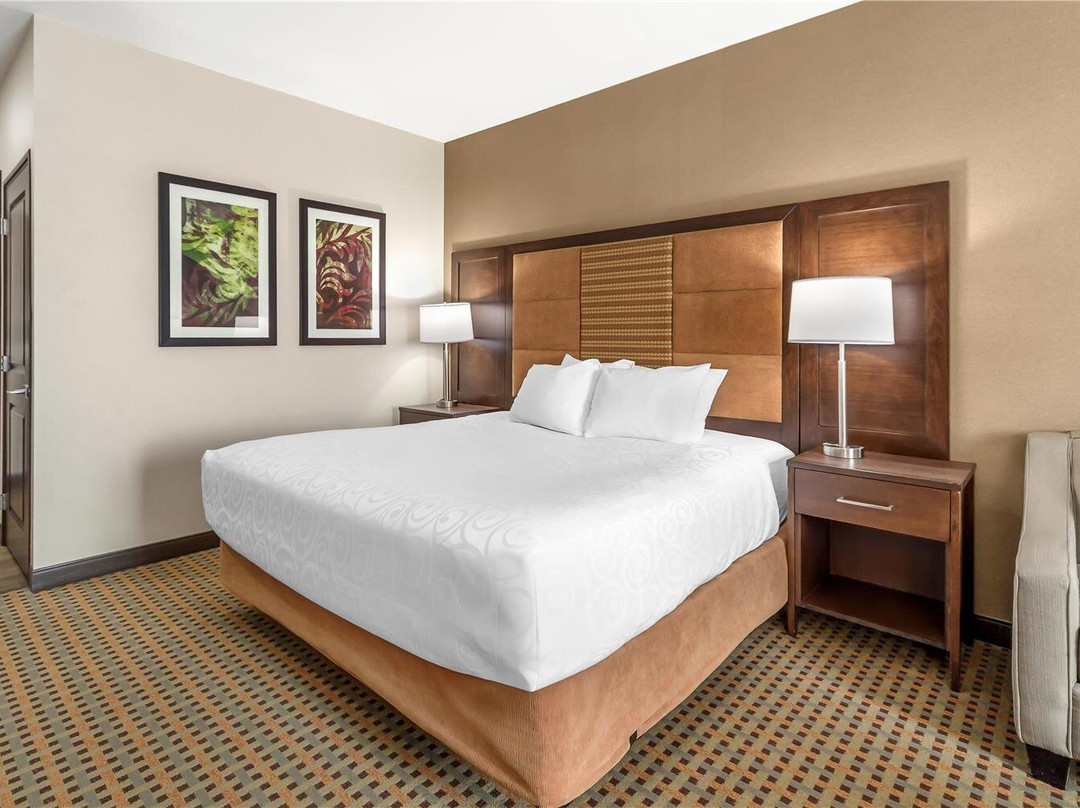 兴顿酒店住宿-Best Western Plus Hinton Inn & Suites