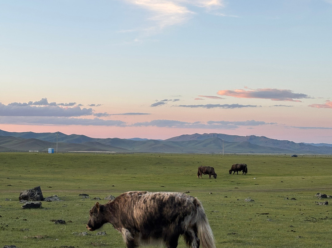 Sunpath Mongolia-乌兰巴托必去景点