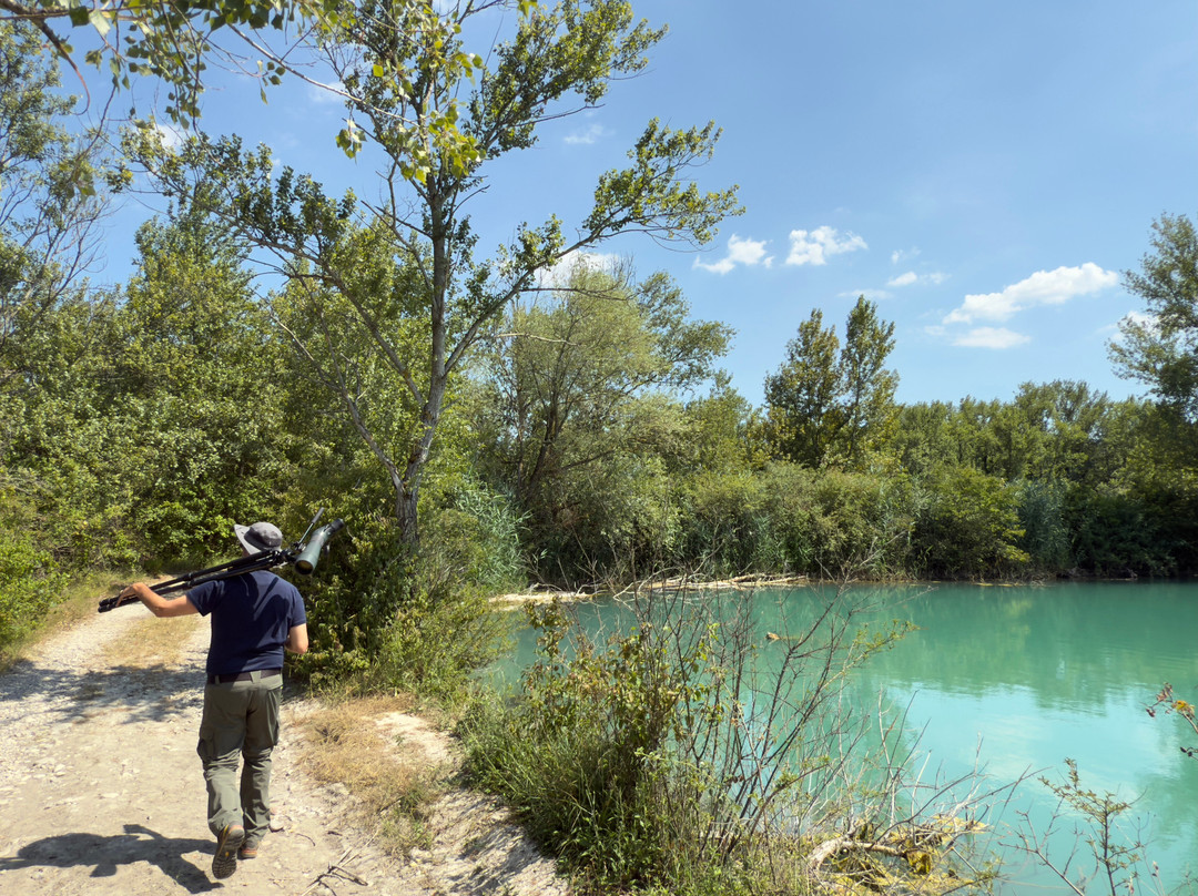 Birding In Italy-Capolona必去景点