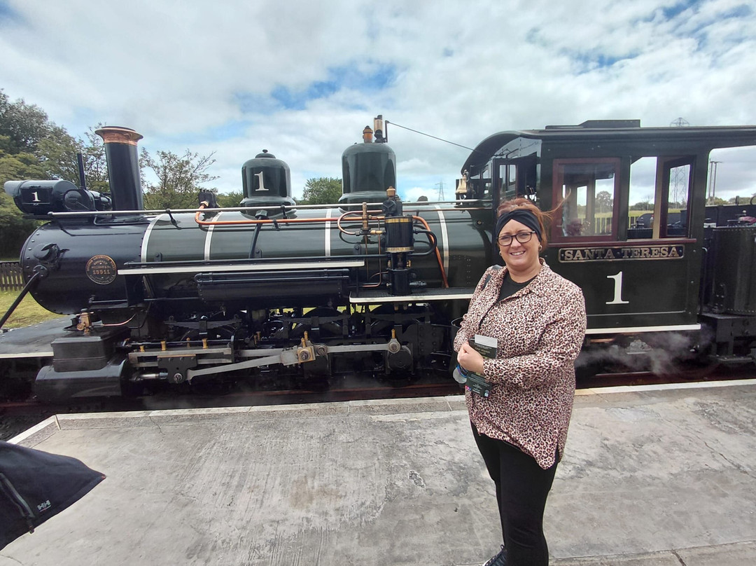 Brecon Mountain Railway-梅瑟蒂德菲尔必去景点
