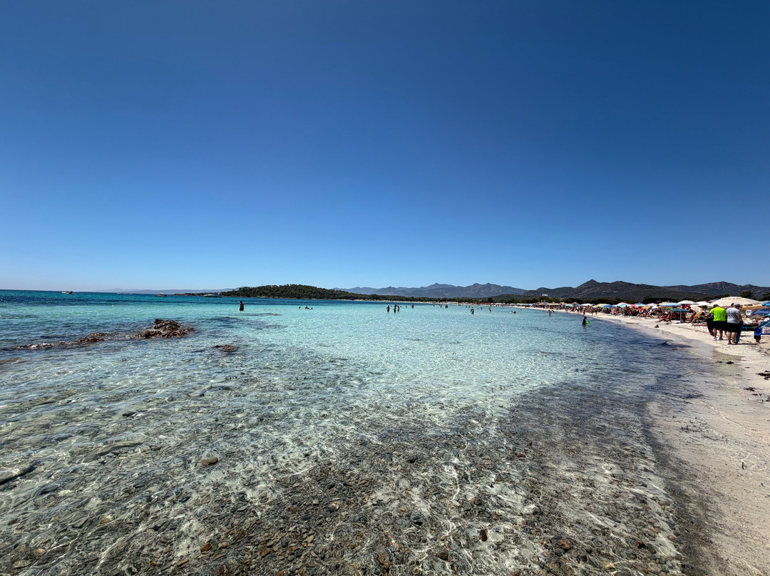 Cala Brandinchi-Capo Coda Cavallo必去景点