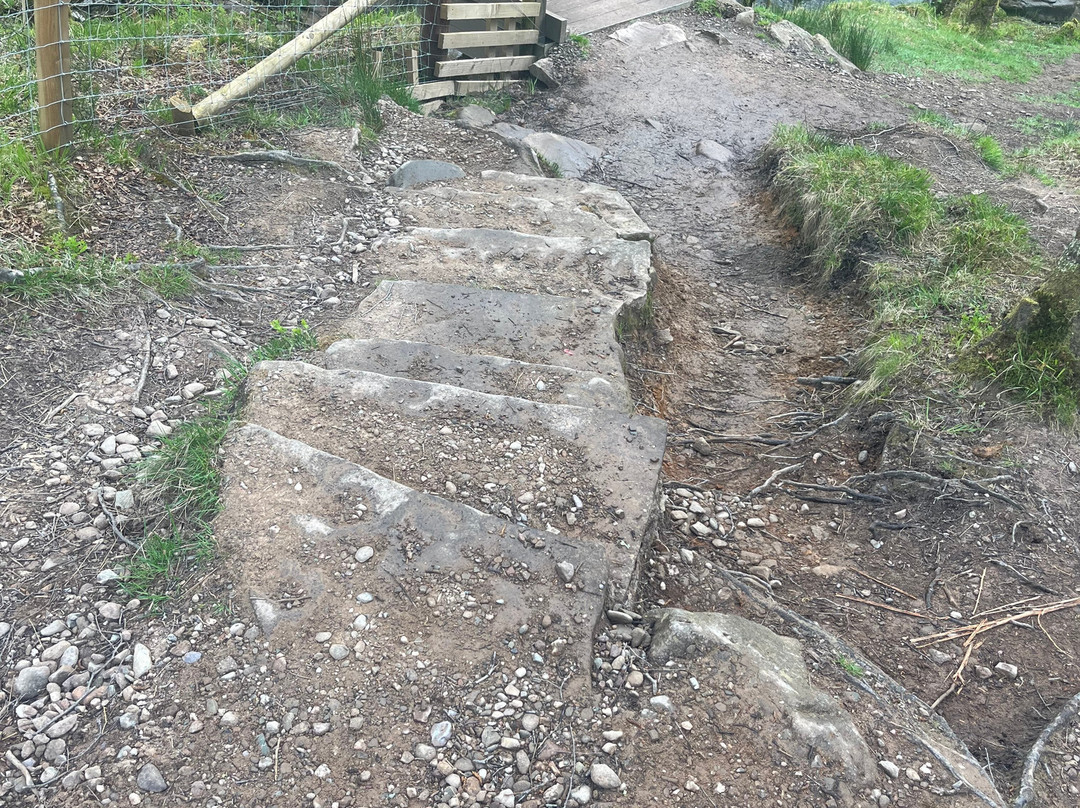 Conic Hill-Balmaha必去景点