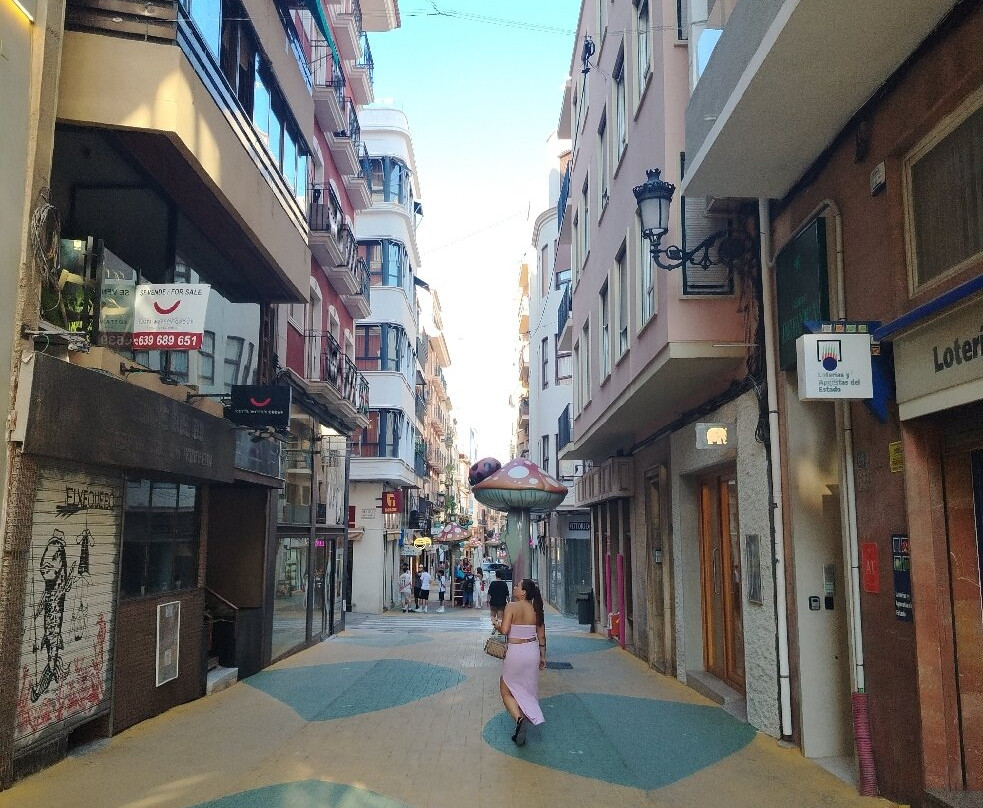 Calle de Las Setas-阿利坎特省必去景点