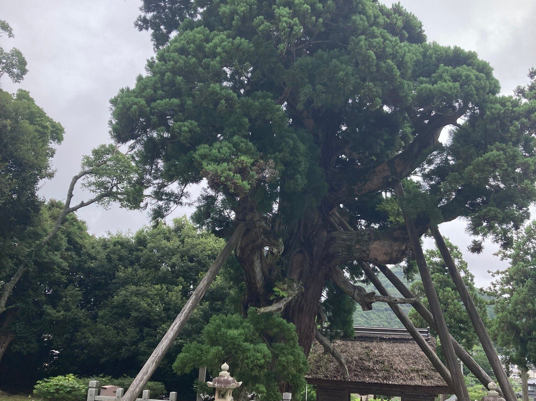 Tamawakasu Mikoto Shrine-隐岐之岛町必去景点