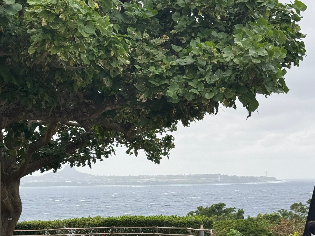 冲绳美之海水族馆-本部町必去景点