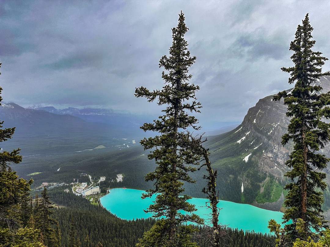Timberline Tours Ltd. - Private Day Tours-路易斯湖必去景点