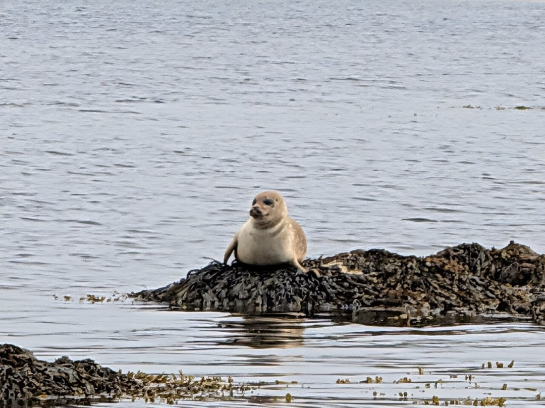 Great Orkney Tours-Tankerness必去景点