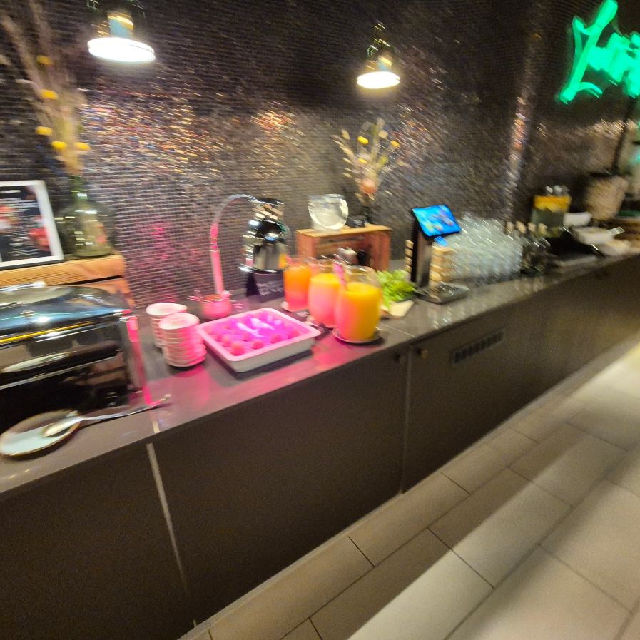 多特蒙德丽笙蓝标酒店-旅行者