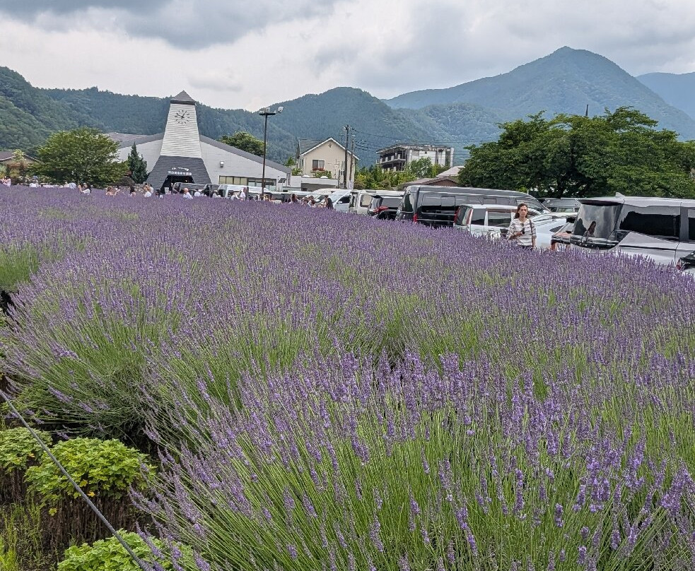 大石公园-富士河口湖町必去景点