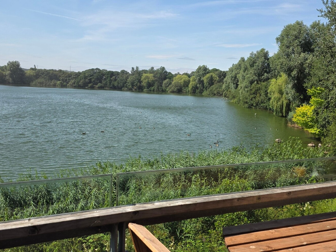 Westport Lake-特伦特河畔斯托克必去景点
