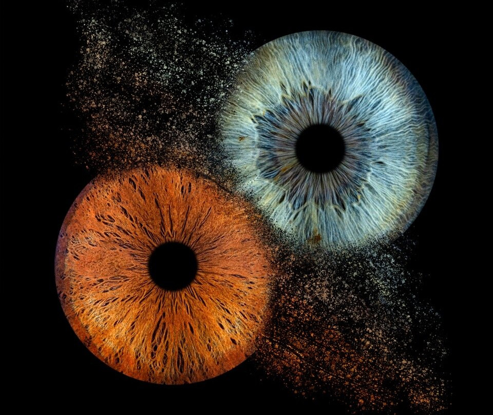 Iris Galerie Gent