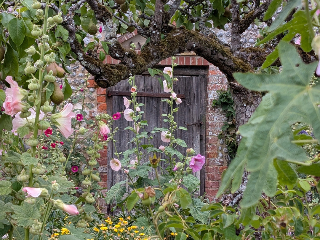 Wiveton Hall-布莱克尼必去景点