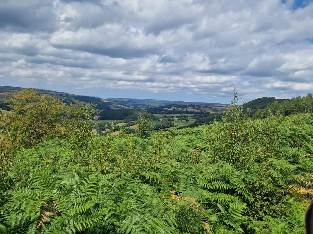 Bilsdale Riding Centre-Hawnby必去景点