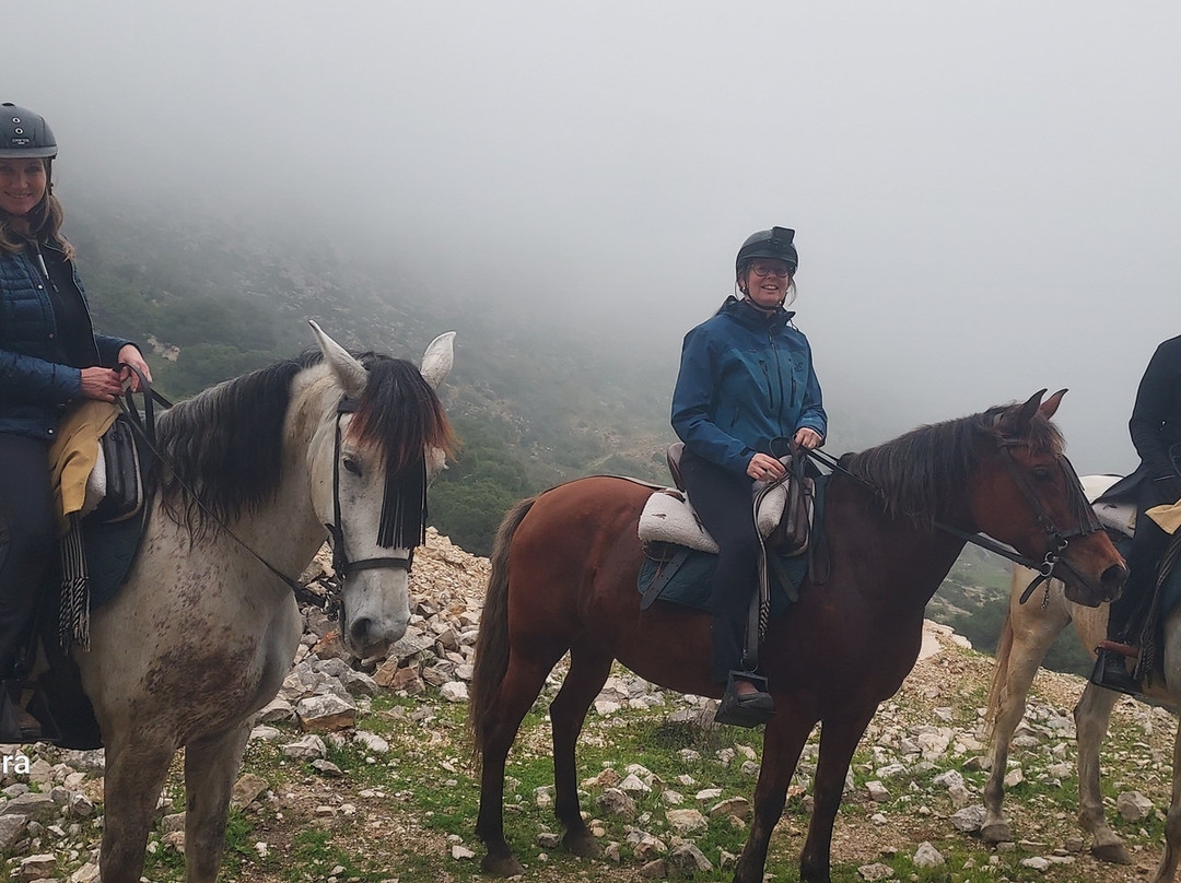 Horse Riding El Chorro-El Chorro必去景点