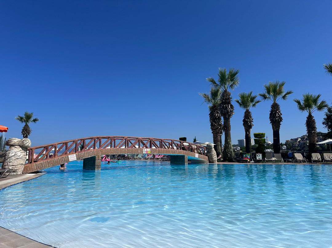 棕榈酒店主图