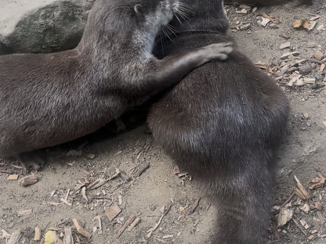 Ponderosa Zoo-Heckmondwike必去景点