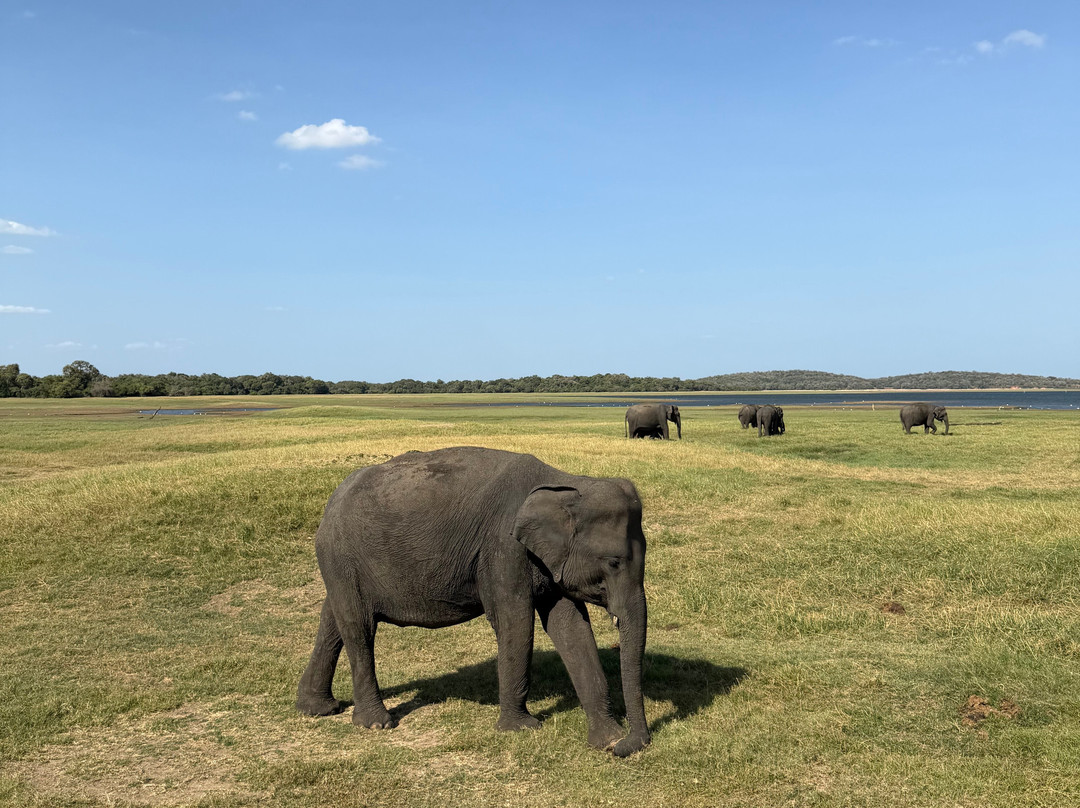 Sudath Safari and Tours Sri Lanka-锡吉里亚必去景点