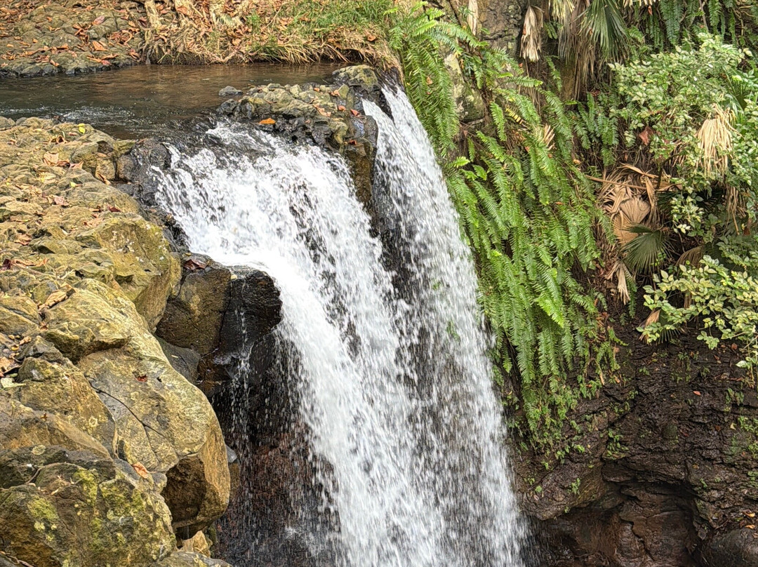 Yanature-黑河必去景点