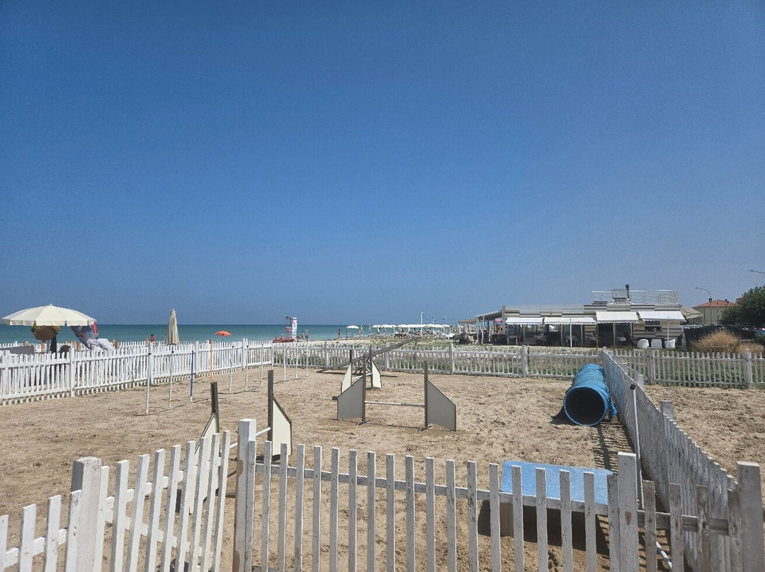 Scoby Doo Beach - Stabilimento Balneare Per Cani