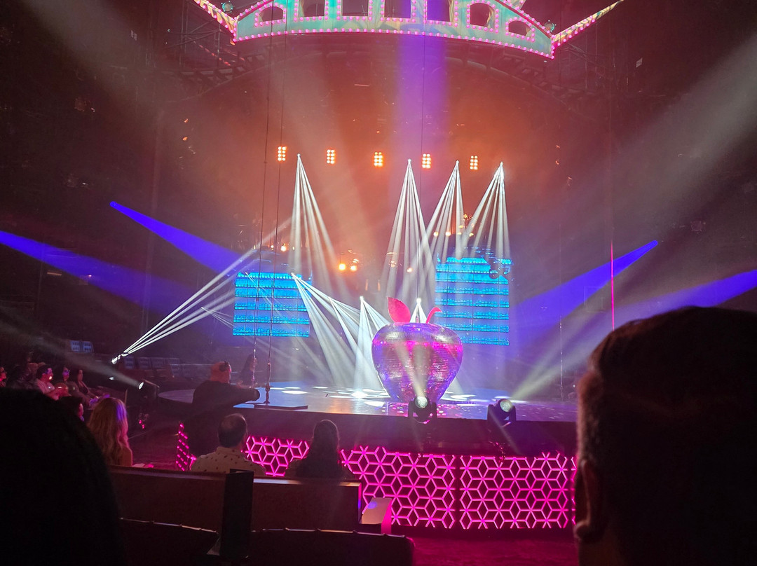 Mad Apple By Cirque Du Soleil-拉斯维加斯必去景点