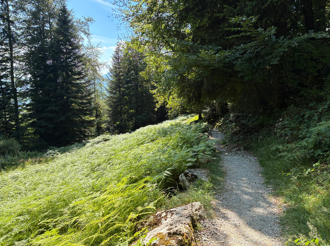 Hammetschwand Lift-Obbuergen必去景点