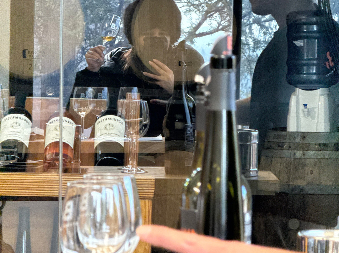 Besoain Wines-Pirque必去景点