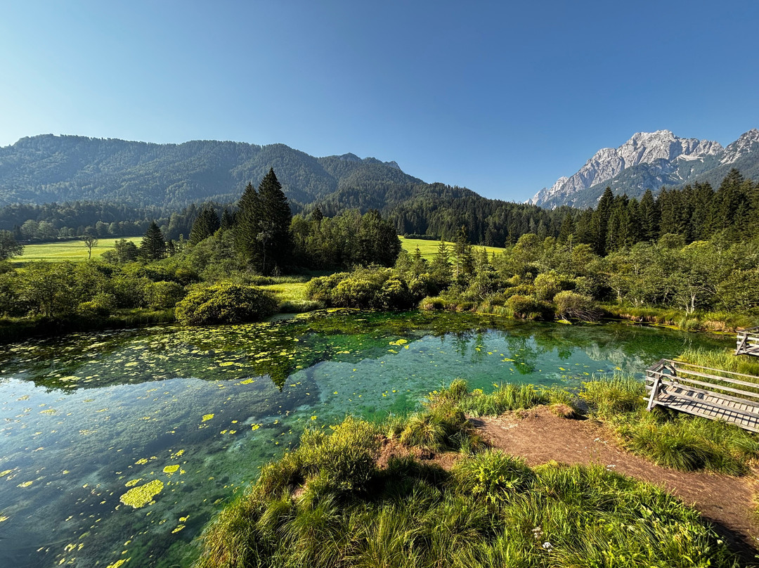 Zelenci Nature Reserve-Kranjska Gora必去景点