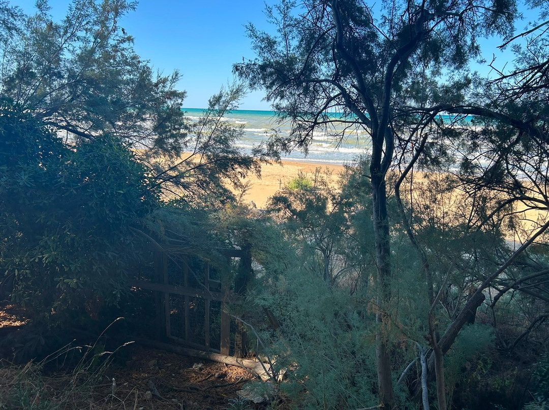 Area Marina Protetta Torre del Cerrano-Pineto必去景点