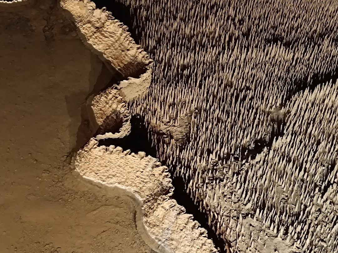 Grotte de Trabuc-Mialet必去景点