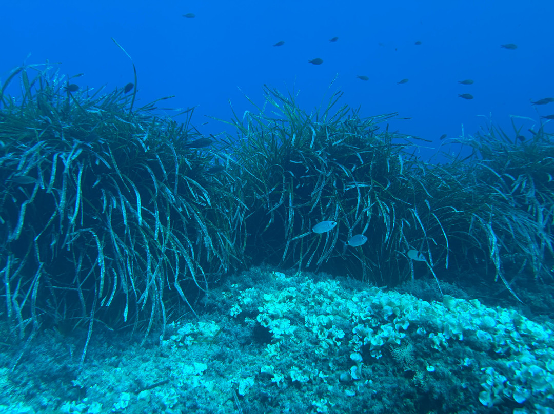 First Class Divers-Porto Petro必去景点