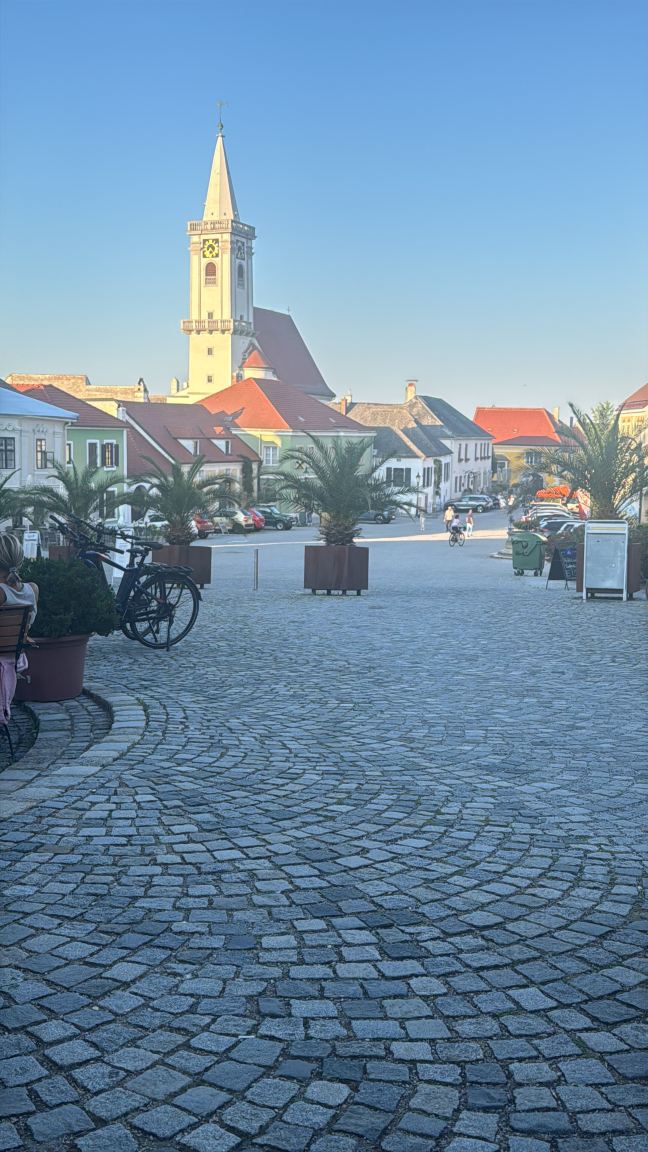Hotel Schandl-旅行者