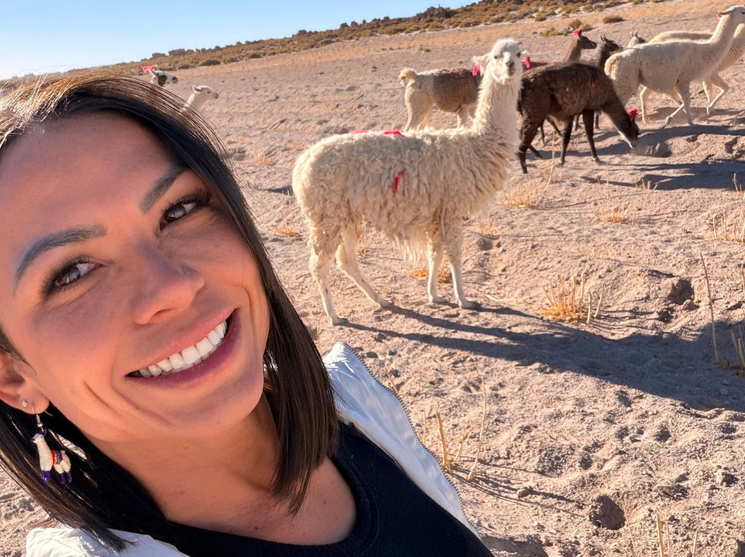 Go Atacama Experiences-圣佩德罗-德阿塔卡马必去景点