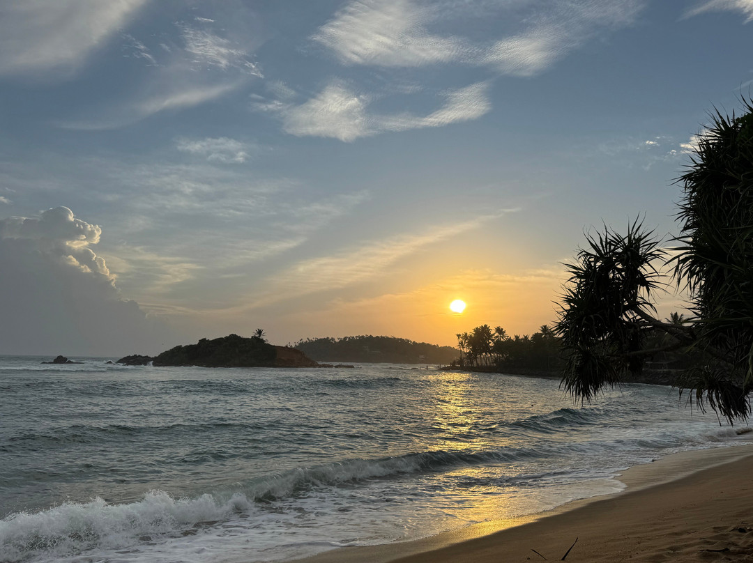 Bunga Bunga Beach Mirissa
