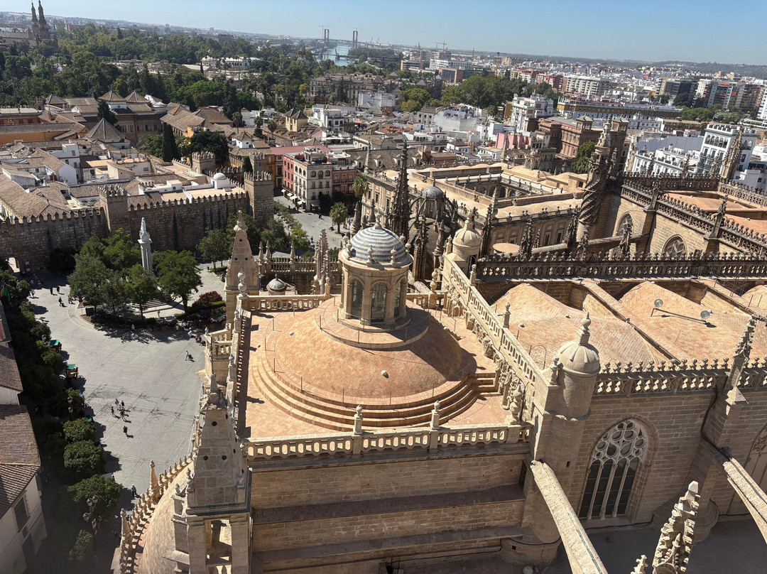 All Sevilla Guided Tours-塞维利亚必去景点