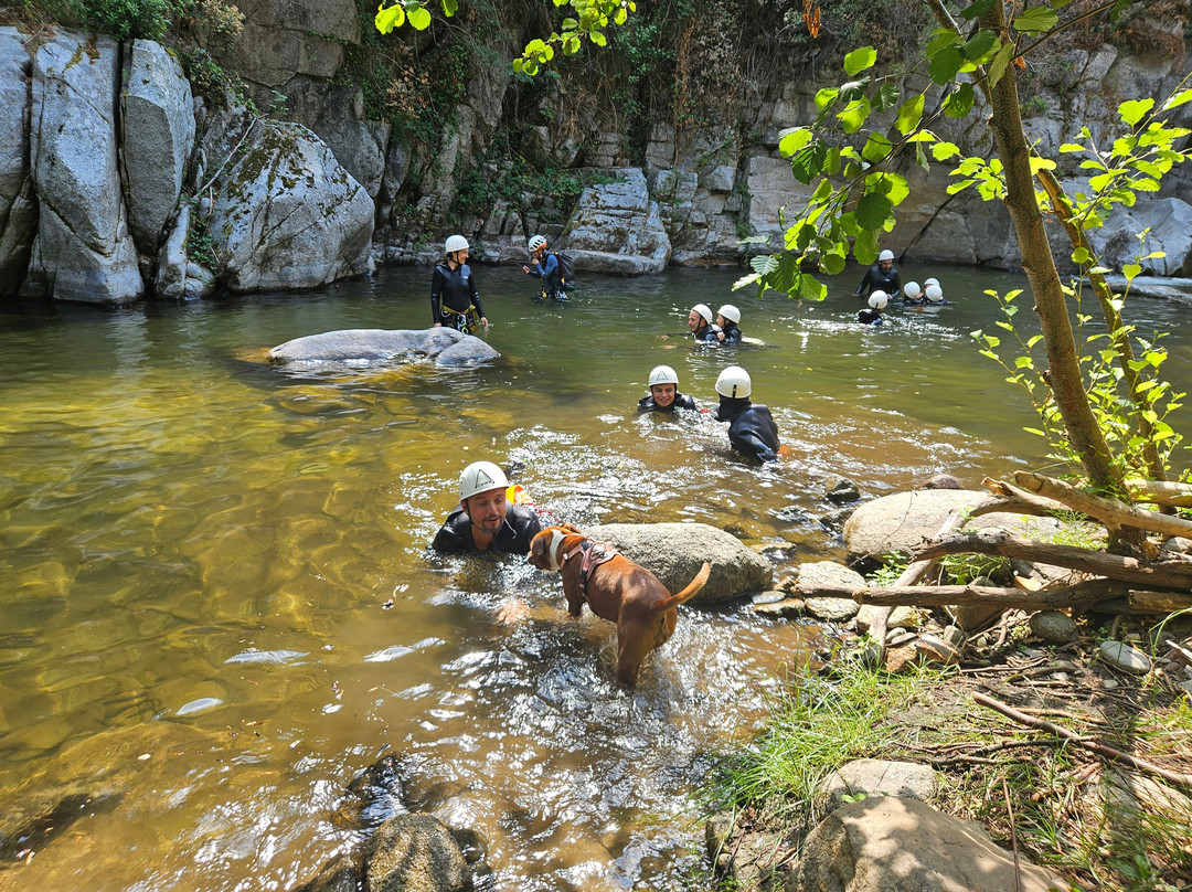 Pyrenees Canyoning by Max & Lola-Leucate必去景点