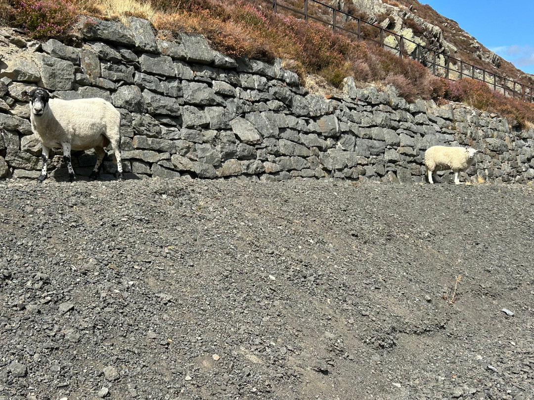 Elan Valley-Rhayader必去景点