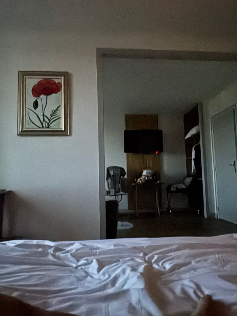 Hotel-Restaurant Ancen Grand Seminaire-旅行者