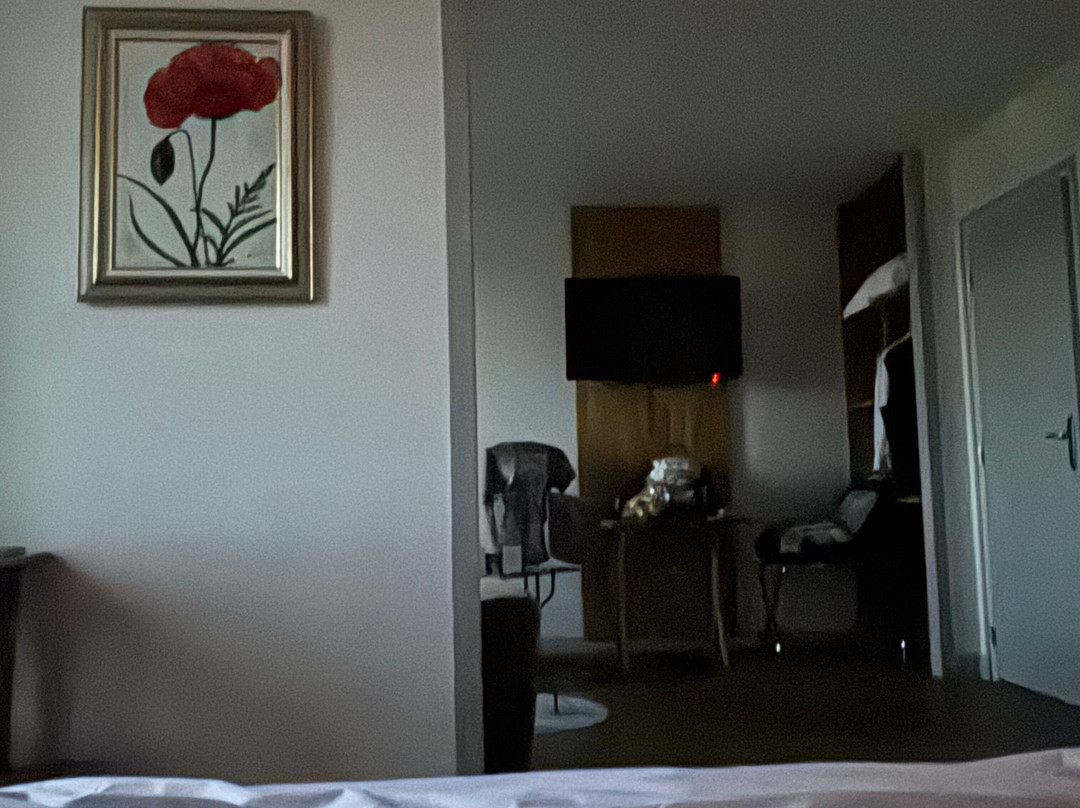 Hotel-Restaurant Ancen Grand Seminaire主图