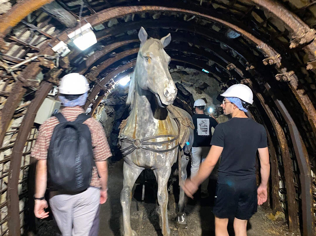 Mine Témoin d'Alès en Cévennes-Ales必去景点