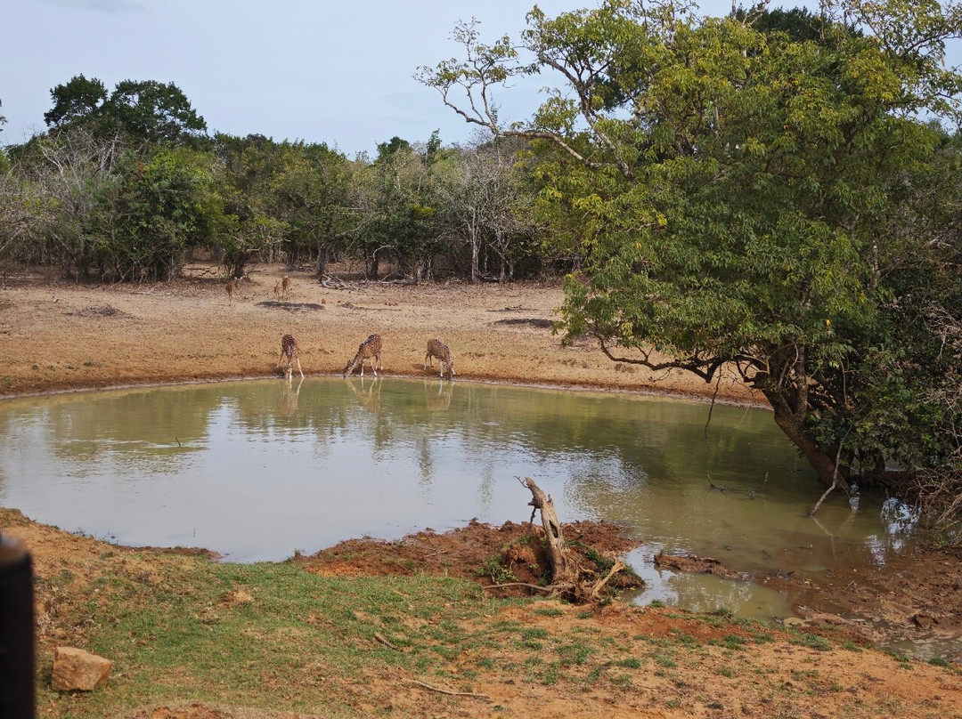 Freedom Safari Jeep Tours-蒂瑟默哈拉默必去景点