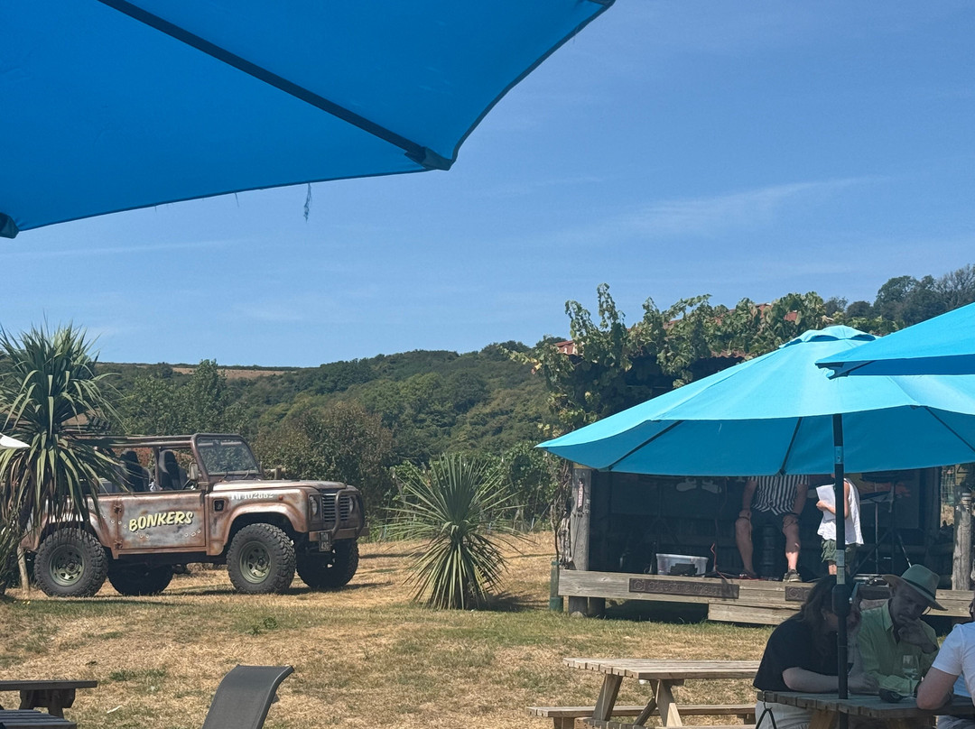 Adgestone Vineyard-Brading必去景点