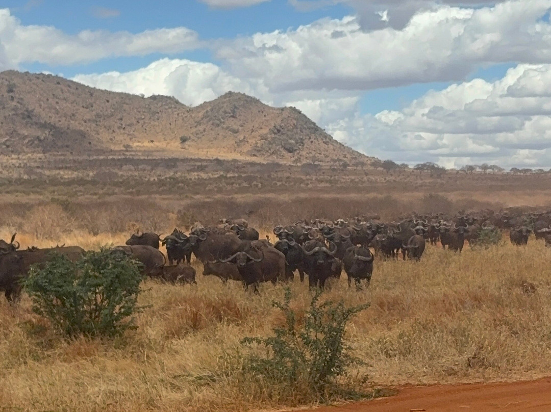 Jawamu Tours and Safaris-Kilifi必去景点
