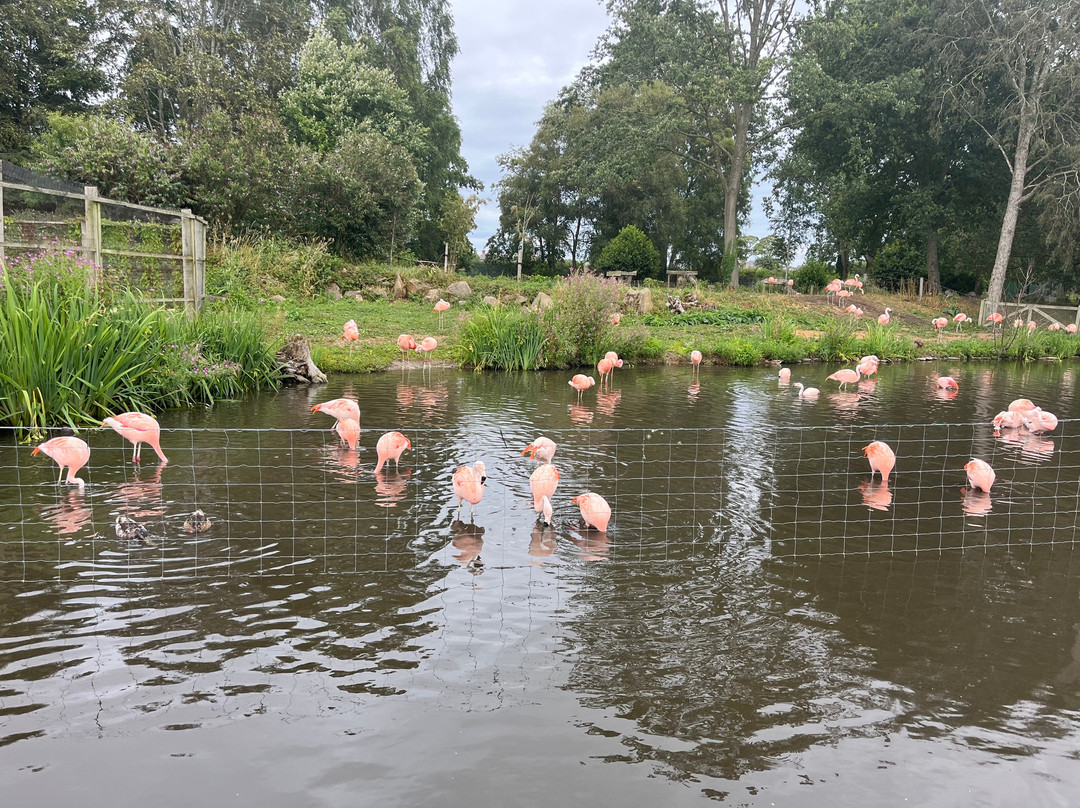 WWT Martin Mere Wetland Centre-Burscough必去景点