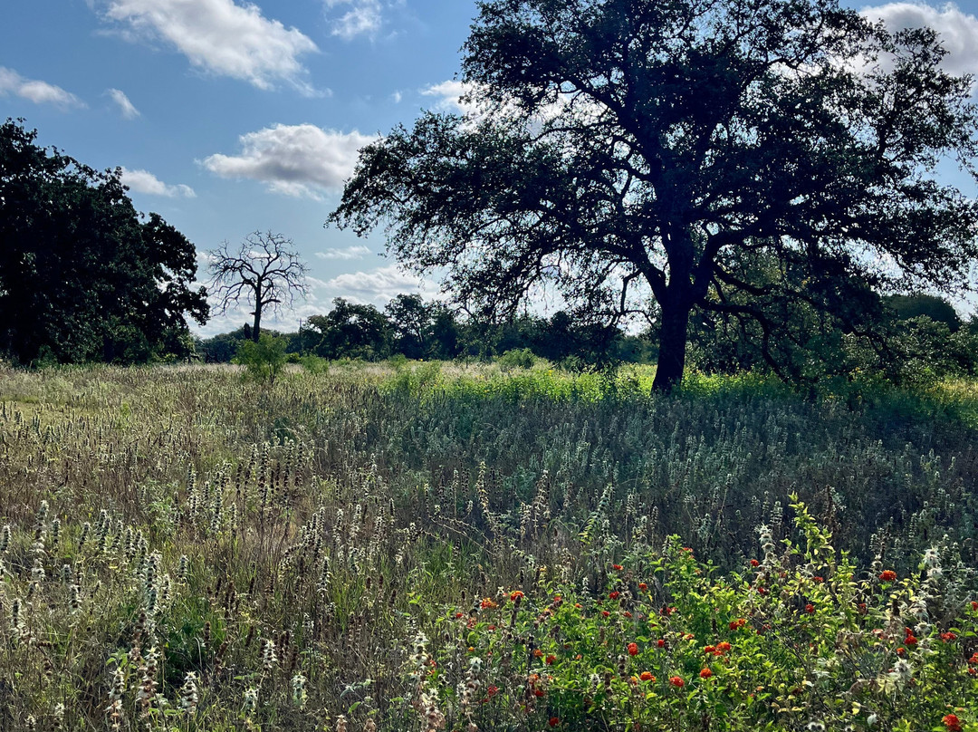 Lyndon B. Johnson National Historical Park-Johnson City必去景点