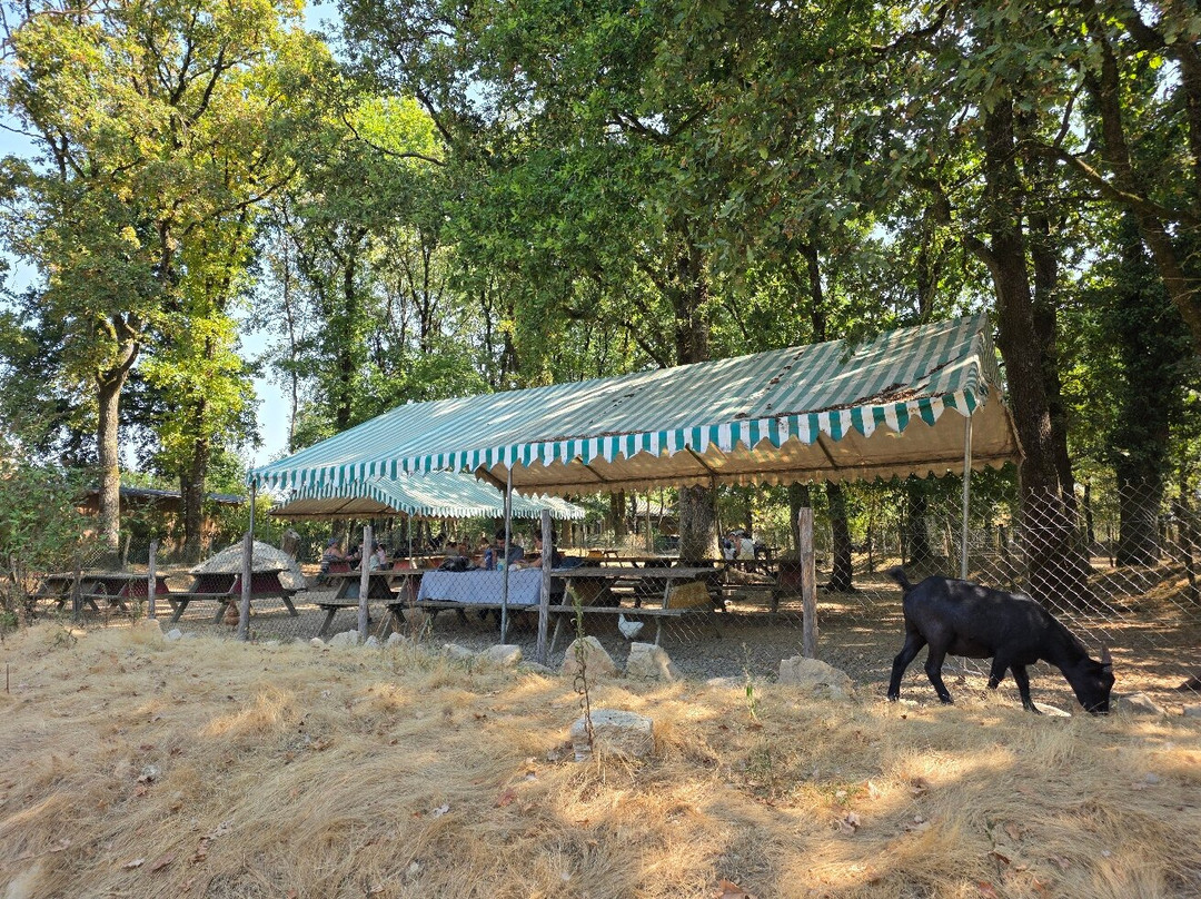 Diverty Parc-Livré-sur-Changeon必去景点