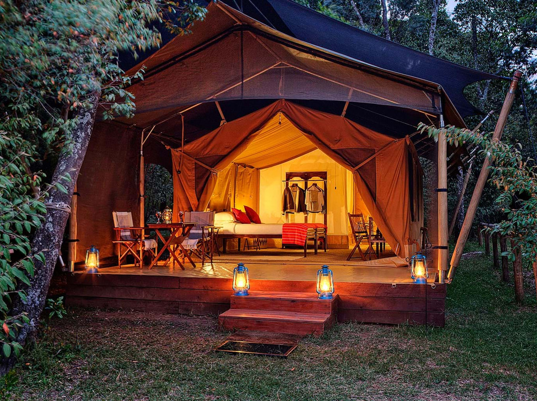 Elephant Pepper Camp Masai Mara